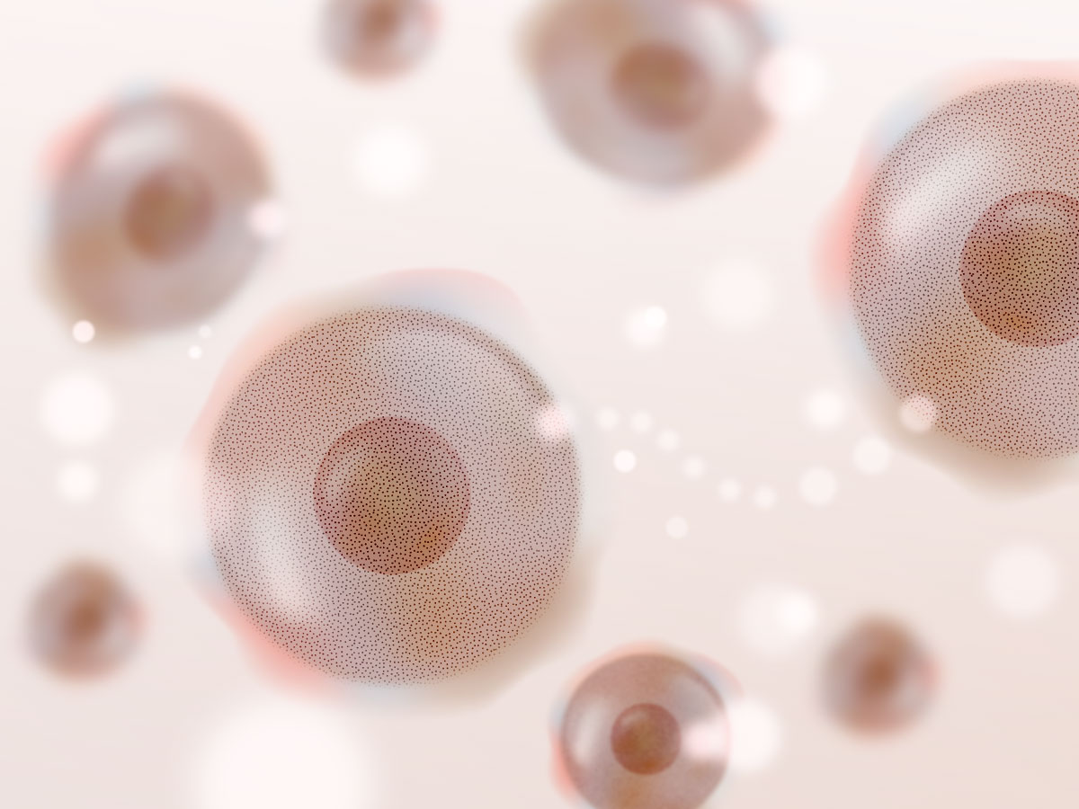 feat0<br />
<b>Warning</b>:  Undefined variable $i in <b>/home/xs171376/reunet.jp/public_html/trial7/wp/wp-content/themes/reutrial/parts/loop_features.php</b> on line <b>20</b><br />
<br />
<b>Warning</b>:  Undefined variable $count in <b>/home/xs171376/reunet.jp/public_html/trial7/wp/wp-content/themes/reutrial/parts/loop_features.php</b> on line <b>20</b><br />
2